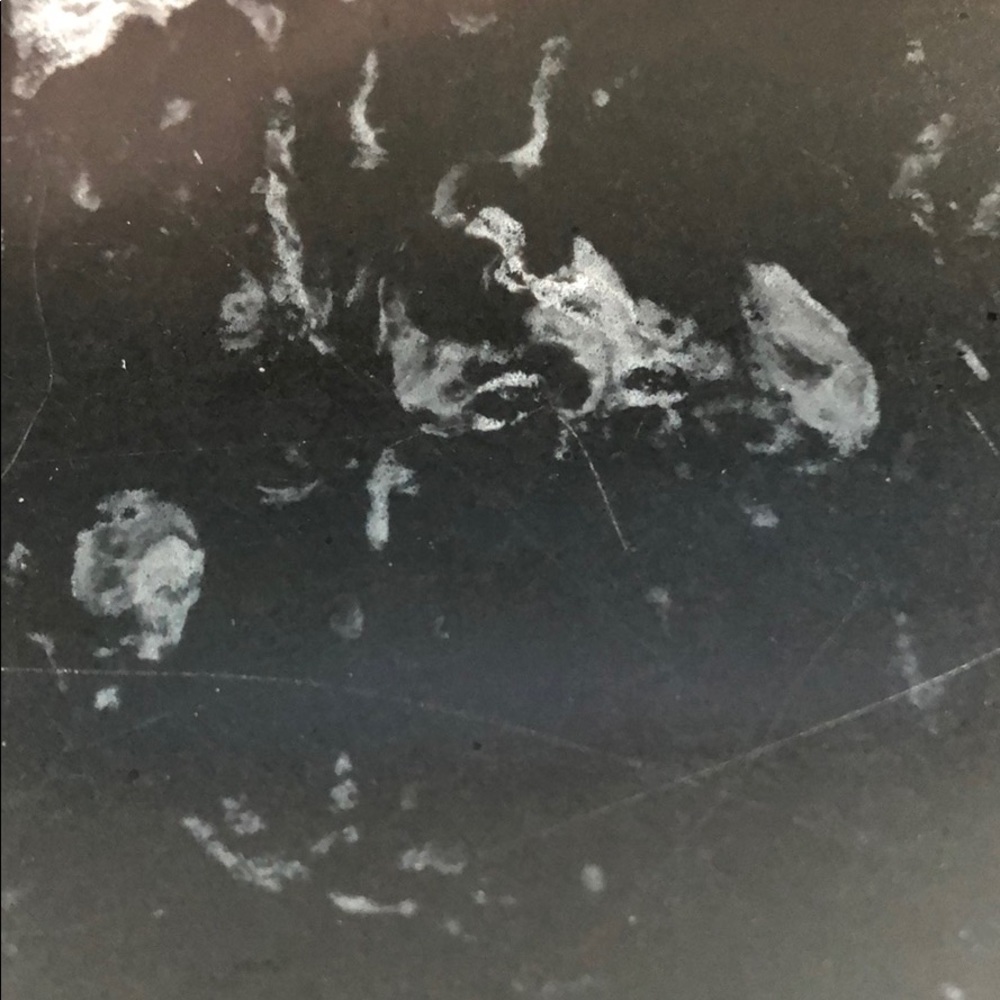 Meet your Posher, Quinn